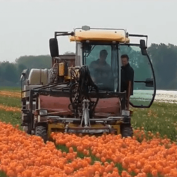 TulpenkopperHome 1 - Agrarische sector
